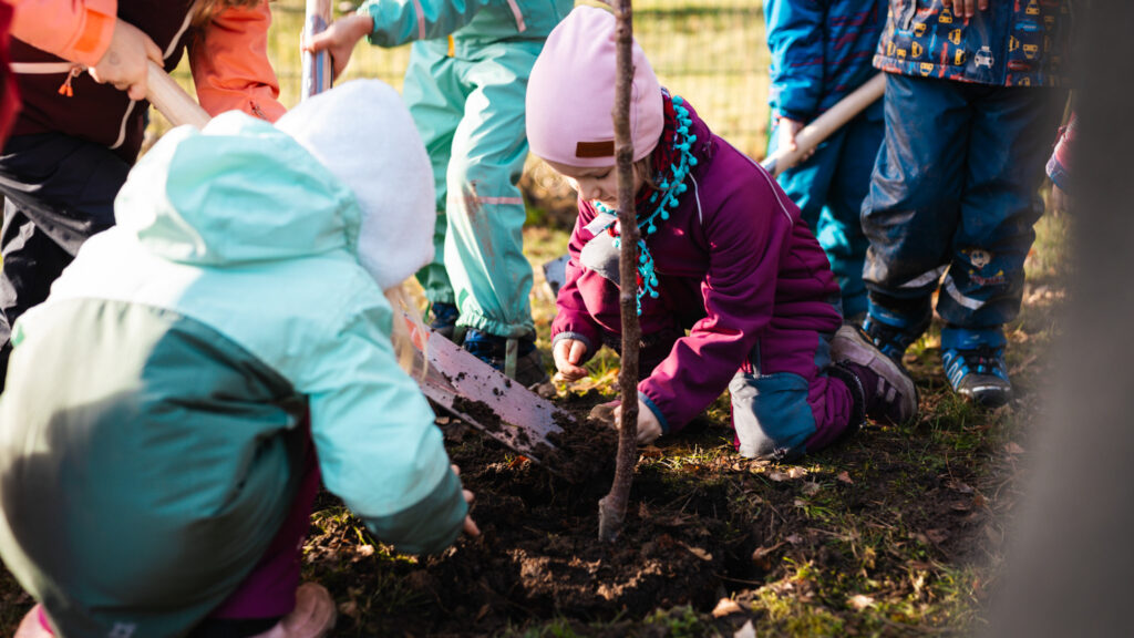 Detailaufnahme: Ein Kind in lilafarbenem Schneeanzug kniet am Boden und hilft konzentriert dabei, die Erde rund um einen frisch gepflanzten jungen Baum festzudrücken.