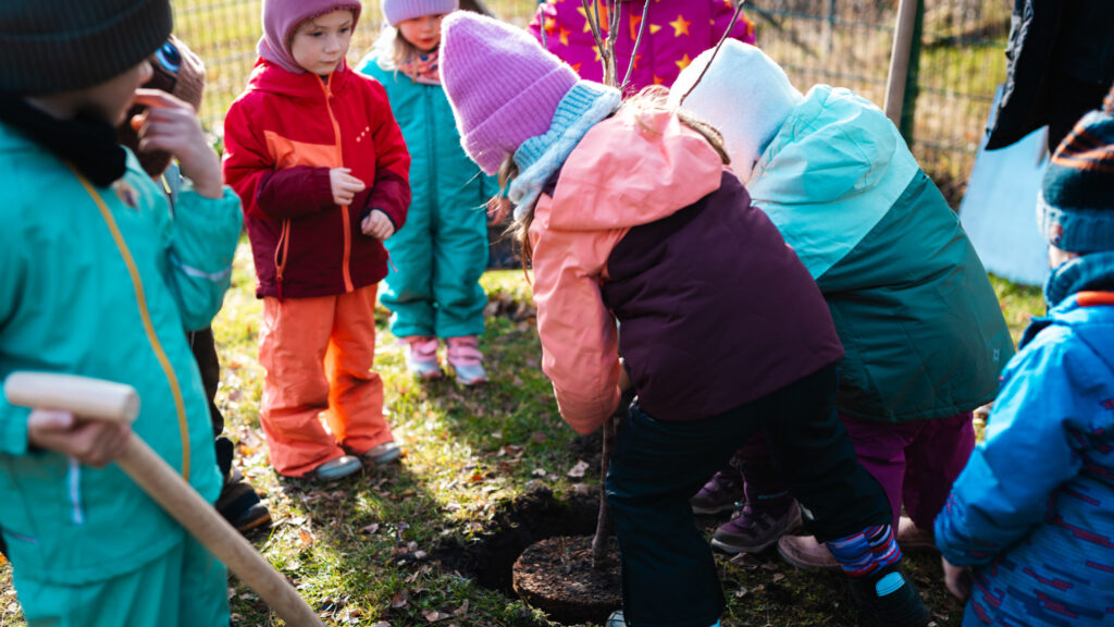 Kinder in farbenfroher Winter-Kleidung stehen im Kreis um ein Pflanzloch und beobachten aufmerksam, wie ein neuer Baum in die Erde gesetzt wird.