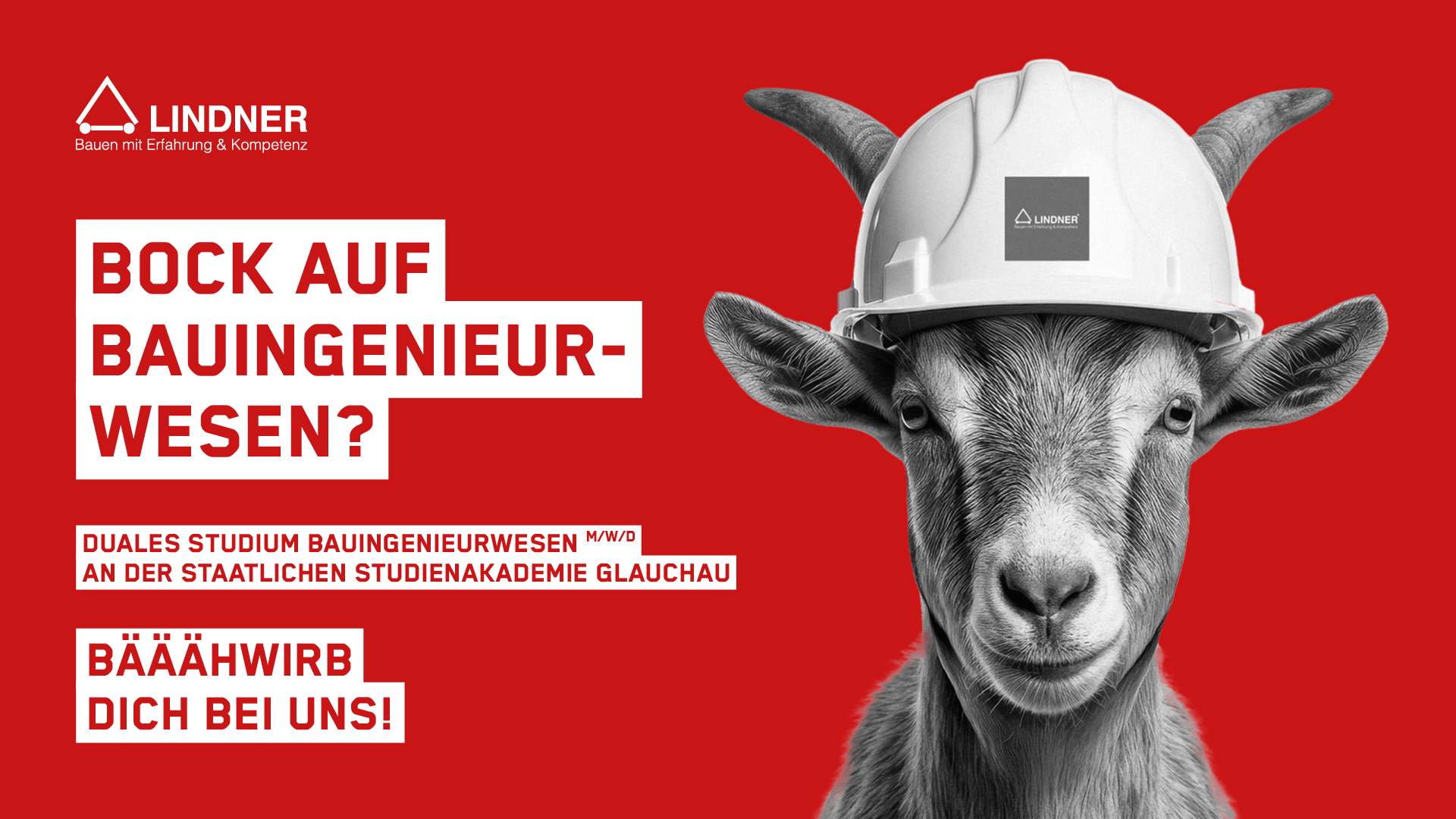 Werbeplakat für ein duales Studium im Bauingenieurwesen bei Lindner mit dem humorvollen Slogan „Bock auf Bauingenieurwesen?“ und dem Bild einer Ziege mit weißem Bauhelm auf rotem Hintergrund.